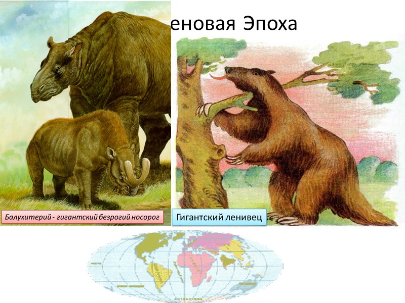 Олигоценовая Эпоха Продолжалась 16млн лет.       ЖИВОТНЫЙ МИР: 